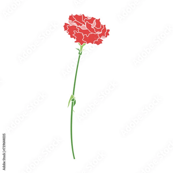 Fototapeta 一輪のカーネーションのイラスト、アイコン　ベクター	