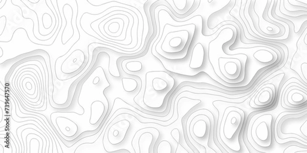 Fototapeta The stylized height of the topographic map in contour, lines. Topography and geography map grid abstract backdrop. creative cartography illustration. Black and white landscape geographic pattern. 