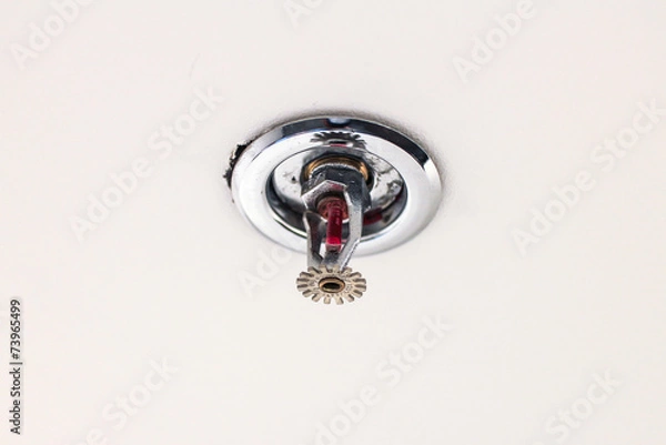 Obraz Fire sprinkler on the ceiling