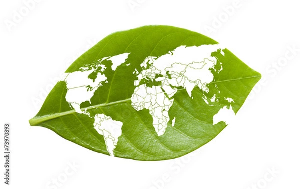 Obraz World map on leaf
