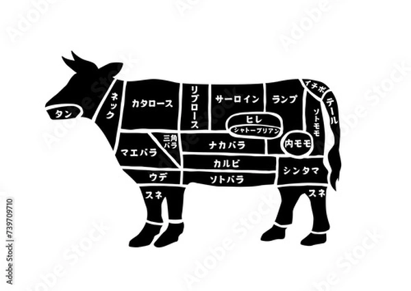 Obraz 牛日本語部位