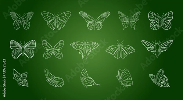 Fototapeta Vector outline linear white butterflies on green background