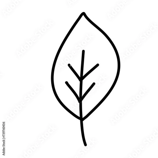 Fototapeta Leaf Line Minimal Icon
