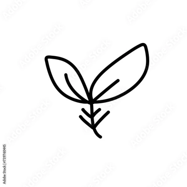 Fototapeta Leaf Line Minimal Icon