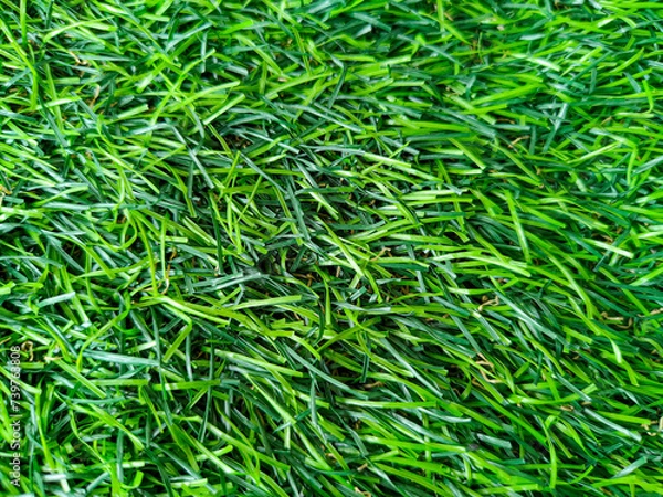 Obraz artificial grass background picture
