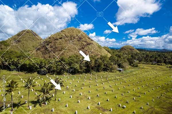 Fototapeta Before and after example of AI copyright or watermark remover tool erasing watermarks from a photo