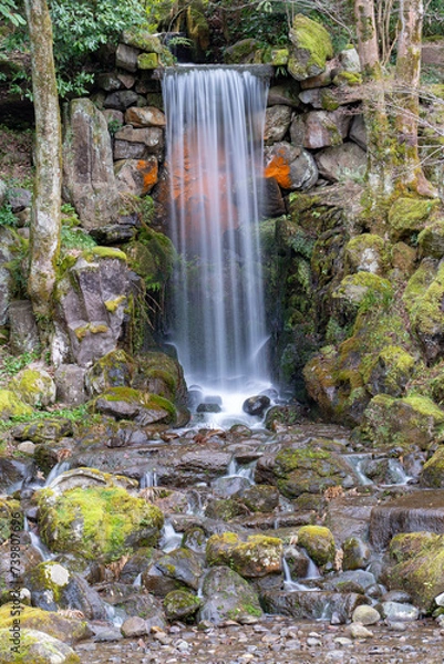 Obraz 日本庭園の滝