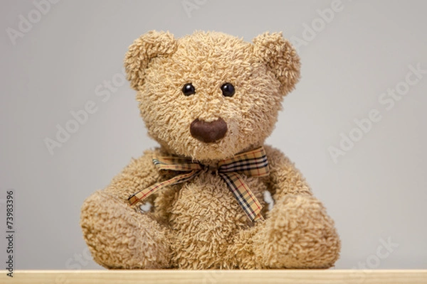 Obraz Teddy bear sitting