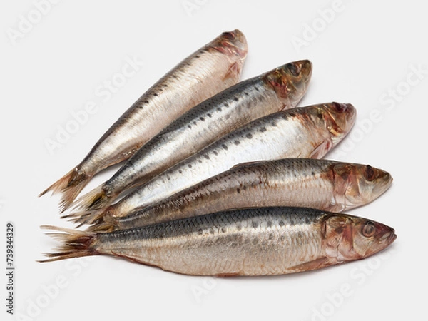 Obraz lightly salted herring isolate on a white background