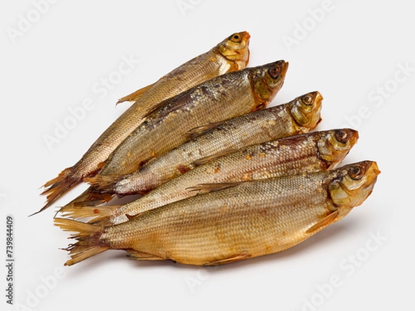 Obraz cold smoked cheese isolate on a white background