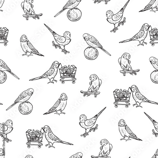 Fototapeta Parrots budgerigar birds pets vector seamless pattern.