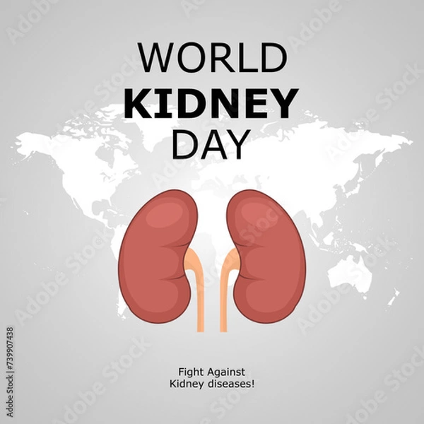 Obraz Vector illustration for World Kidney Day.