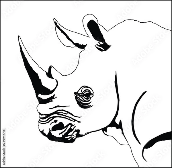 Obraz Rhinoceros head drawing