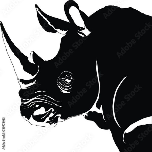 Obraz Rhinoceros head drawing vector illustration eps 10
