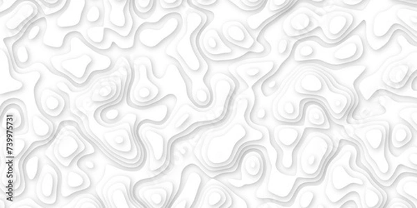 Fototapeta  Abstract geometric layered curve line white background. 3d white papercut topography relief. Cover layout template. paper cut topography soft background banner texture. light liquid wave illustration