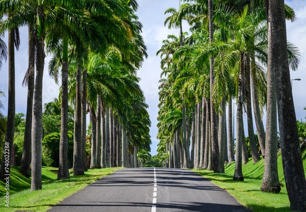 Obraz Allée Dumanoir 