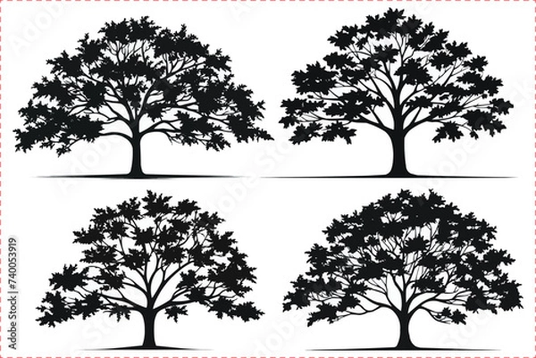 Fototapeta Maple tree silhouette icon set, Silhouettes of maple tree, Tree silhouette isolated on white background