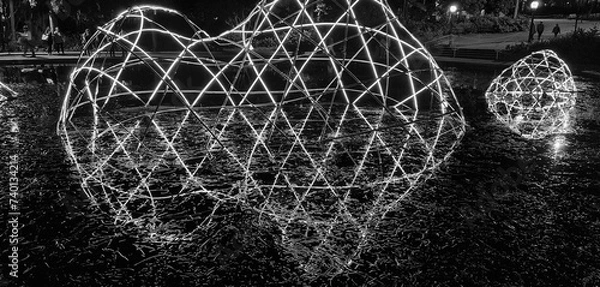 Obraz Black and white sculpture reflection glow Botanical Garden Brisbane