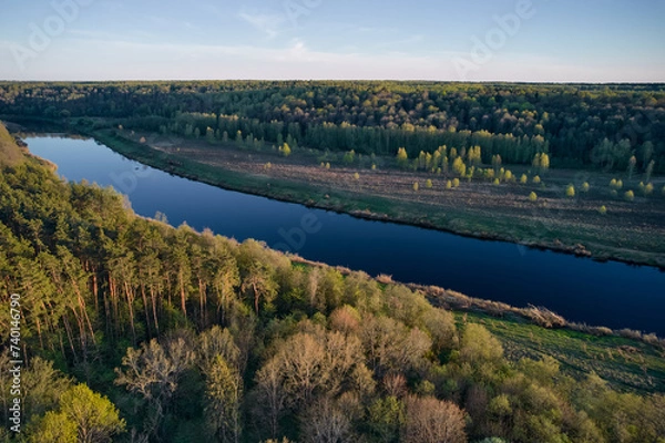 Obraz River in the forest
