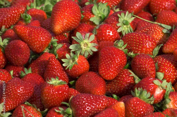 Fototapeta strawberry background