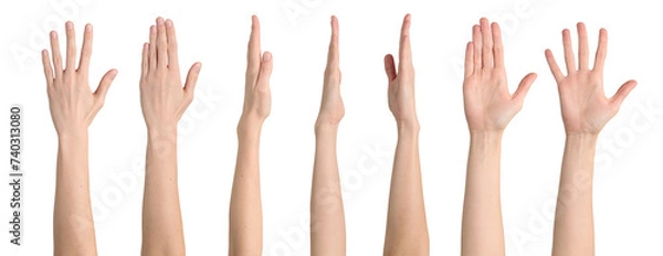 Fototapeta Female straight hand from different angles isolated on transparent background, png file
