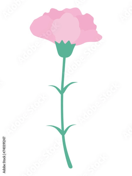 Fototapeta 母の日のカーネーションの花のベクターイラスト