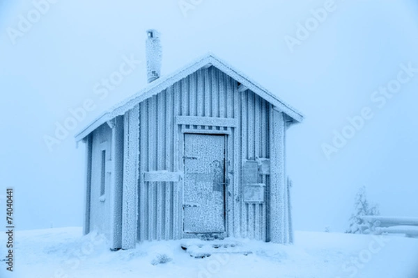Obraz Frozen hut.