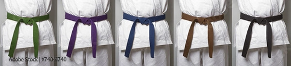 Obraz Pasy do karate