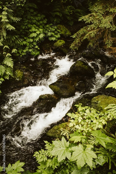 Obraz waterfall in the mountains