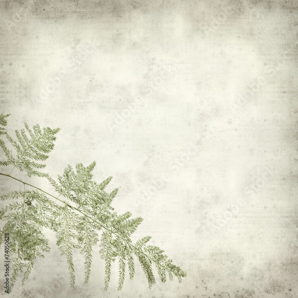 Obraz textured old paper background