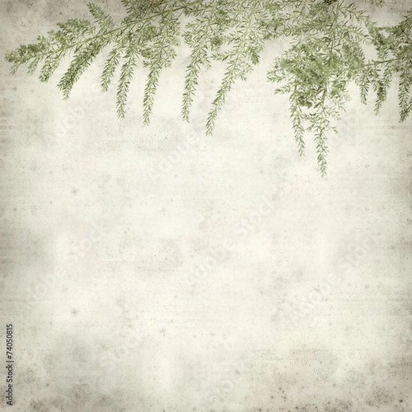 Obraz textured old paper background