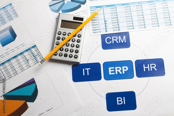 Obraz Business graphs & charts Enterprise Resource Planning