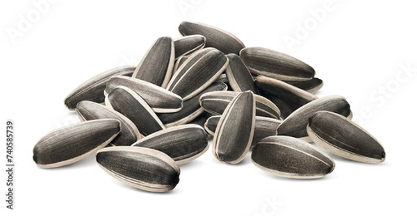 Fototapeta Big sunflower seeds pile with shadow isolated on white background. Side view