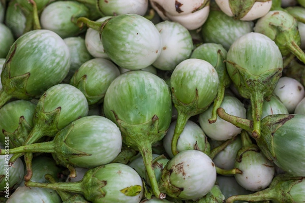 Fototapeta Background of fresh eggplant.