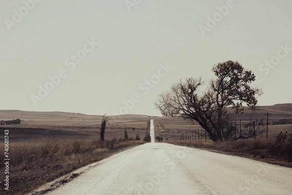 Obraz A long road in winter