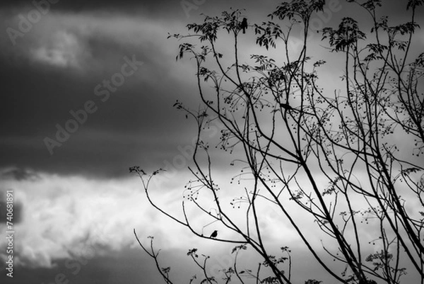 Obraz A storm is brewing