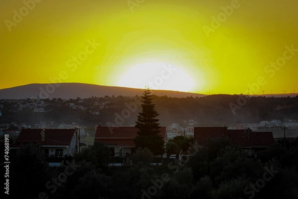 Obraz Searching for Home. 