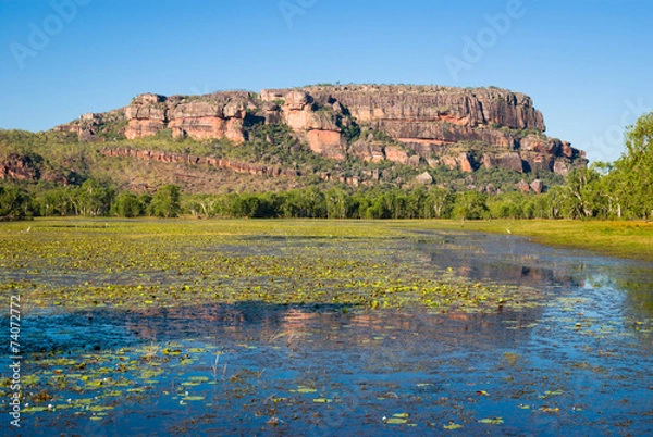 Obraz Anbangbang Billabong and Nourlangie Rock, Kakadu, Australia