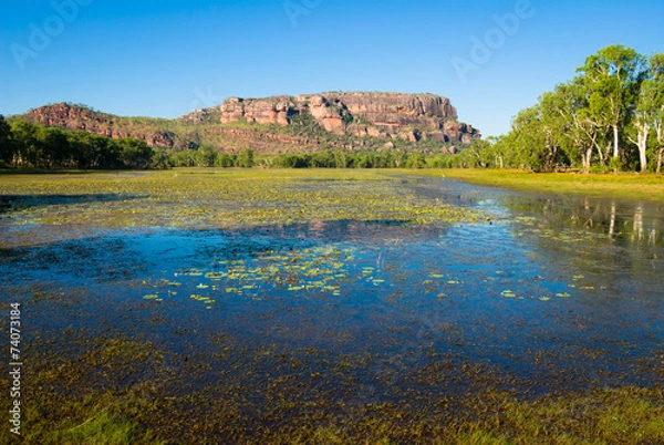 Obraz Anbangbang Billabong and Nourlangie Rock, Kakadu, Australia