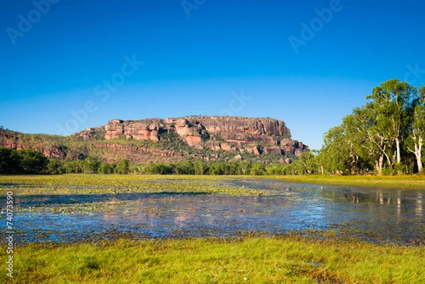 Obraz Anbangbang Billabong and Nourlangie Rock, Kakadu, Australia