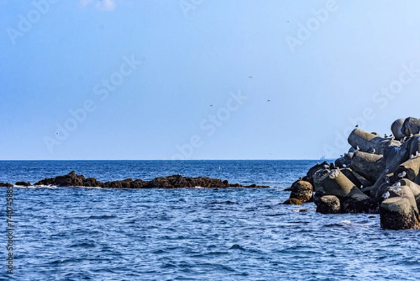 Fototapeta 宮城 女川町と出島江島の離島航路
