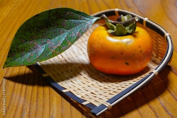 Obraz 収穫したばかりの葉付き柿の実