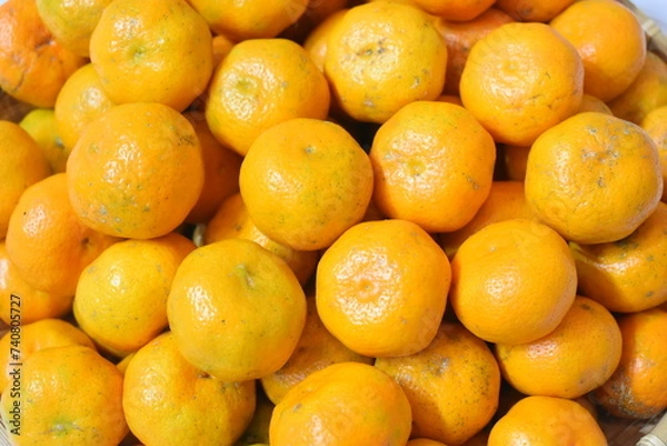 Fototapeta シークヮーサー