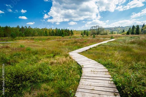 Fototapeta Tarnawa peat bog. Boardwalk across peatland bog habitat, Tarnawa Wyzna, Bieszczady, Outer Eastern Carpathians, Poland, sunny day, beautiful landscape
