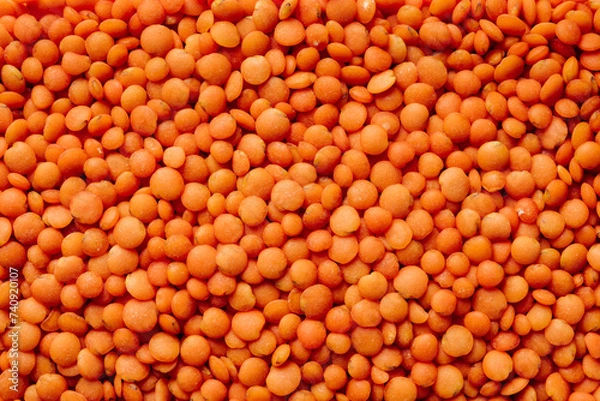Obraz Dry whole red lentils close-up.