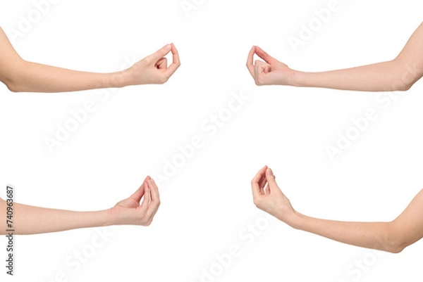 Fototapeta Female hands showing Italian “finger purse” or “pinched fingers” gesture by gathering fingers with tips touching and pointing upward, isolated on transparent background, png file