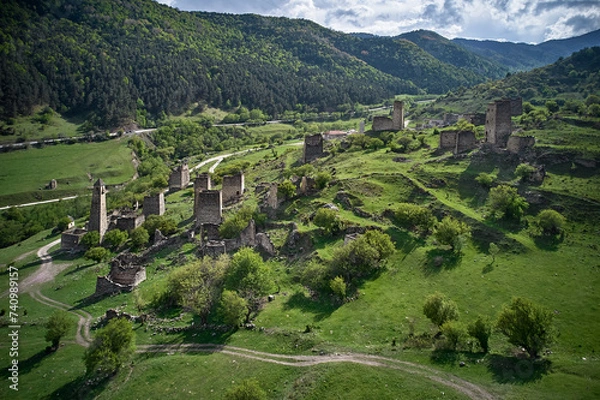 Obraz Vineyard in the mountains