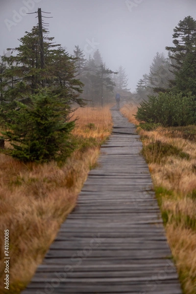 Fototapeta a path in a foggy mountain forest in the Jizera Mountains in the Czech Republic