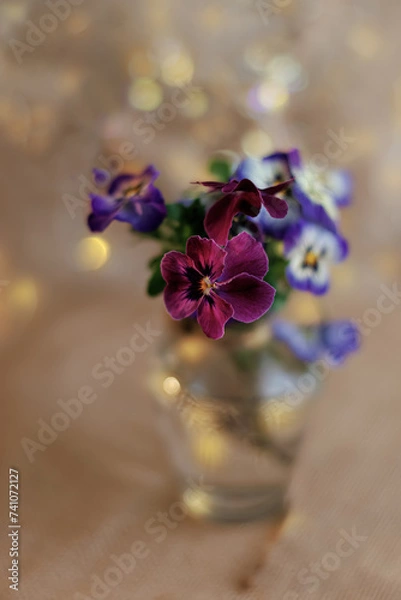 Fototapeta Blurred beautiful beige background with pansy flower and yellow bokeh. Shallow depth of field. Close-up