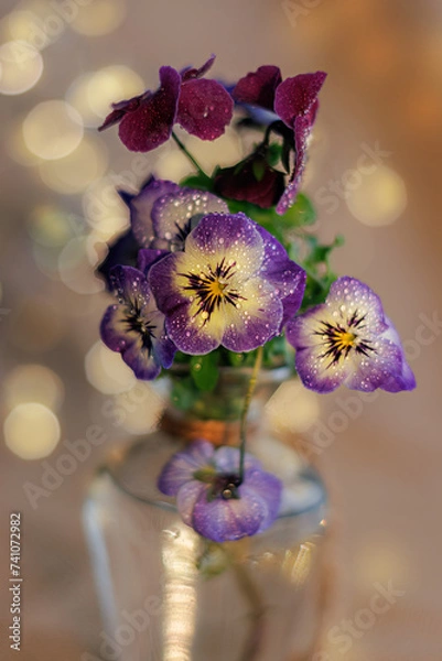 Fototapeta Pansy flowers with water drops in a glass vase and a blurred background with yellow bokeh. Shallow depth of field. Close-up